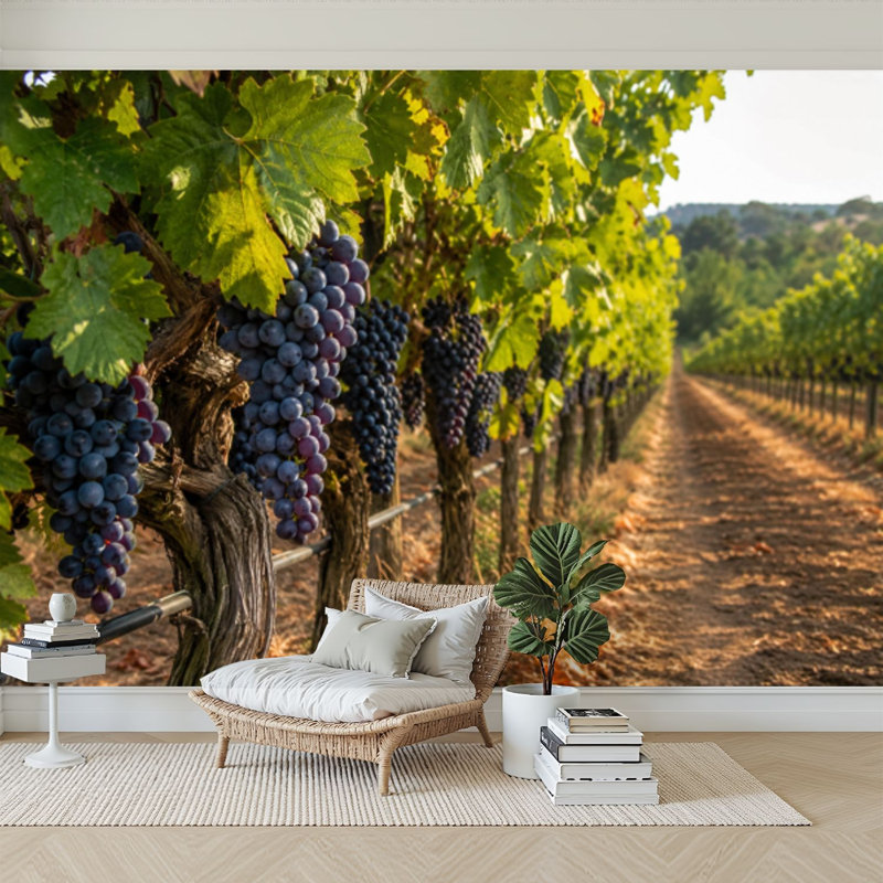 Murale auto-adhésive moderne pour la chambre à coucher Peel and Stick L 69 po x l 96 po avec imprimé vigneron Napa Valley
