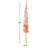 Eremurus Arrangement-1279377050