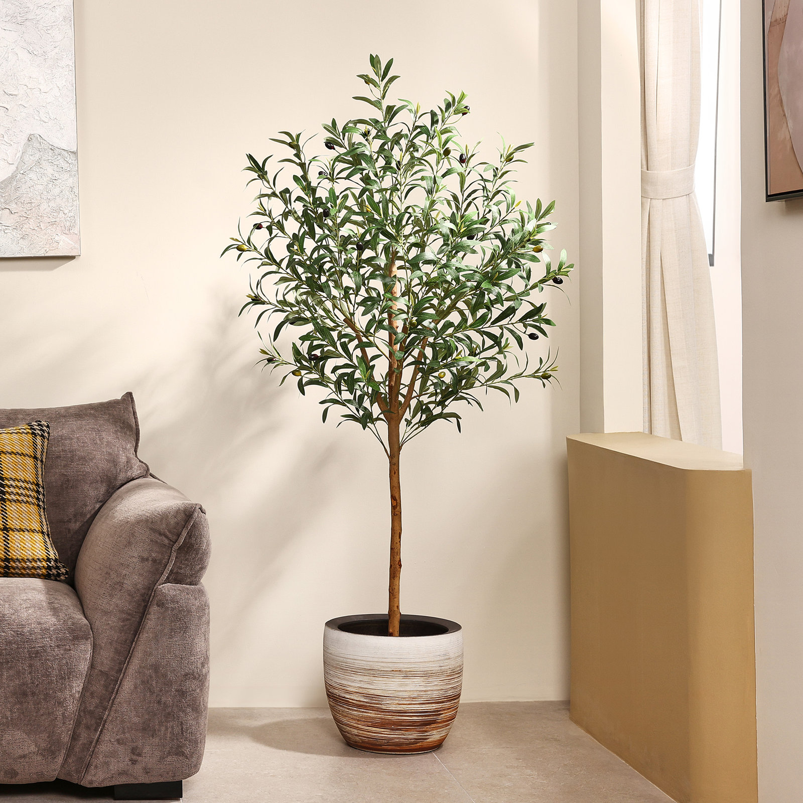 Ashwell Olive Plant in Pot, 72" H x 32" W