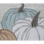  Coussin Natural Pumpkins