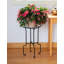 Support pour plante Catalina