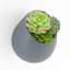 Jardinière murale Hilaria-296966688-296966689