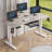 Modernchamp 63'' Dual Motor Height Adjustable Standing Desk With Laminate-88086879