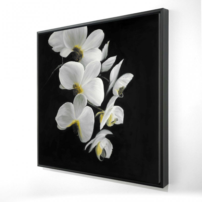 "Beautiful Orchids"