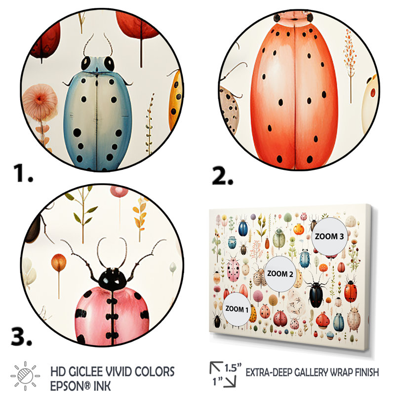 Coléoptère coloré - prairie d'insectes et d'insectes, Cadre flottant noir, H 12 po x l 20 po x P 1 po
