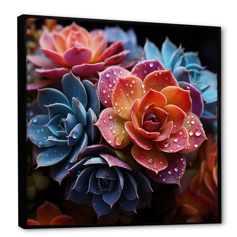 "Colorful Succulents Come Alive", reproduction d'art sur toile, Cadre flottant noir, H 16 po x l 16 po