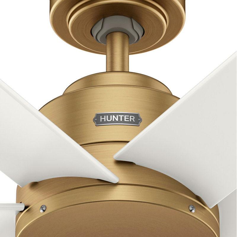 Hunter 60 inch Kennicott ENERGY STAR® Damp Rated Ceiling Fan and Handheld Remote