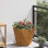 Planter Box