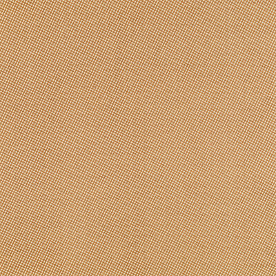Rhapsody Fabric
