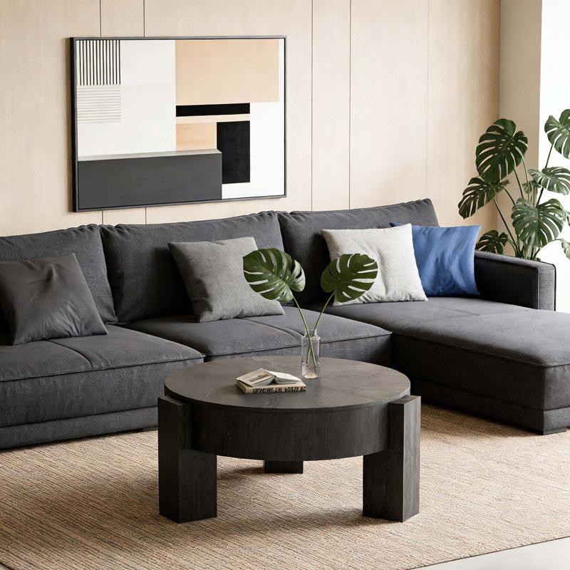 Table basse ronde avec rangement caché, Noir