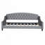 Modern Luxury Tufted Button Daybed-1765338362-1765338360