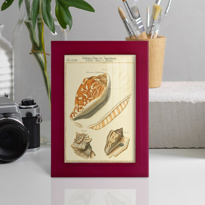 Coquilles de martini antique III sur papier