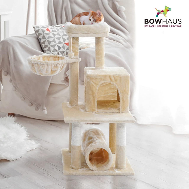 Cat Scratching Pad and Cat Toys, H 40,16 po x l 18,9 po x P 18,9 po, Gris