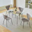 Bircan Glass Top Metal Base Dining Table