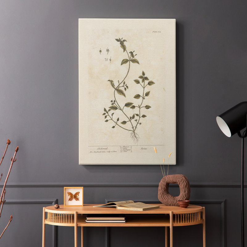 Imprimé floral rétro CLxxv - galerie enveloppée de cavas, H 18 po x l 12 po