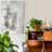 " Garden Parterre III "-1498784274