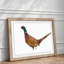 Pheasant Bird in Winter - Framed Print-56704610-56704614