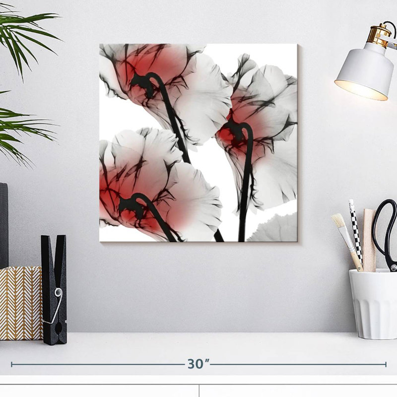 Cyclamen lustré Harnek Crimson, H 16 po x l 16 po