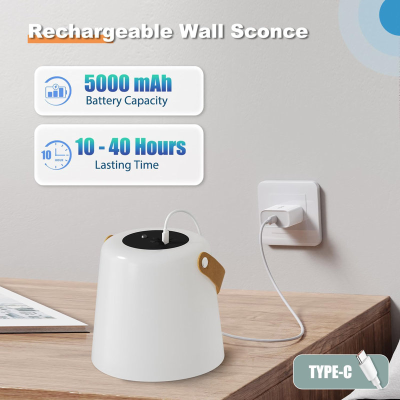 Bedside Wall Lamp Set of 2, Plug-in Wall Lamp with USB Charging Port and AC Power Outlet, Modern Black Brushed Nickel Wall Lamp with Plug Cord for Living Room Office, E26 LED Bulb Included