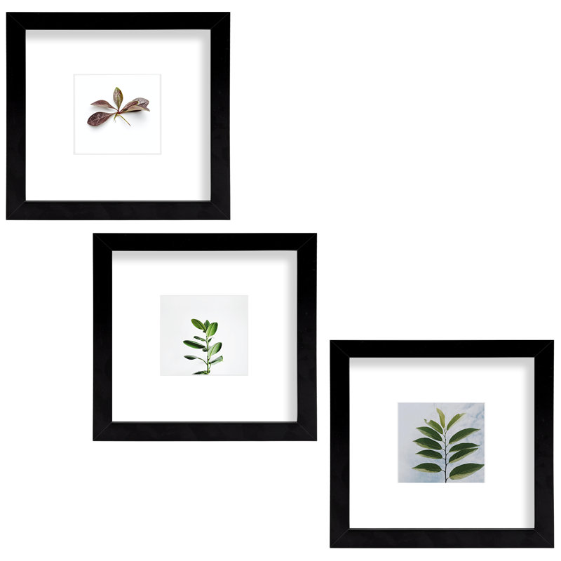 Arialynn Black Wood Picture Frame with Mat