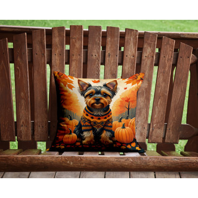 Other/No Pattern Outdoor Throw Pillow