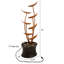 Outdoor Cascade Fountain