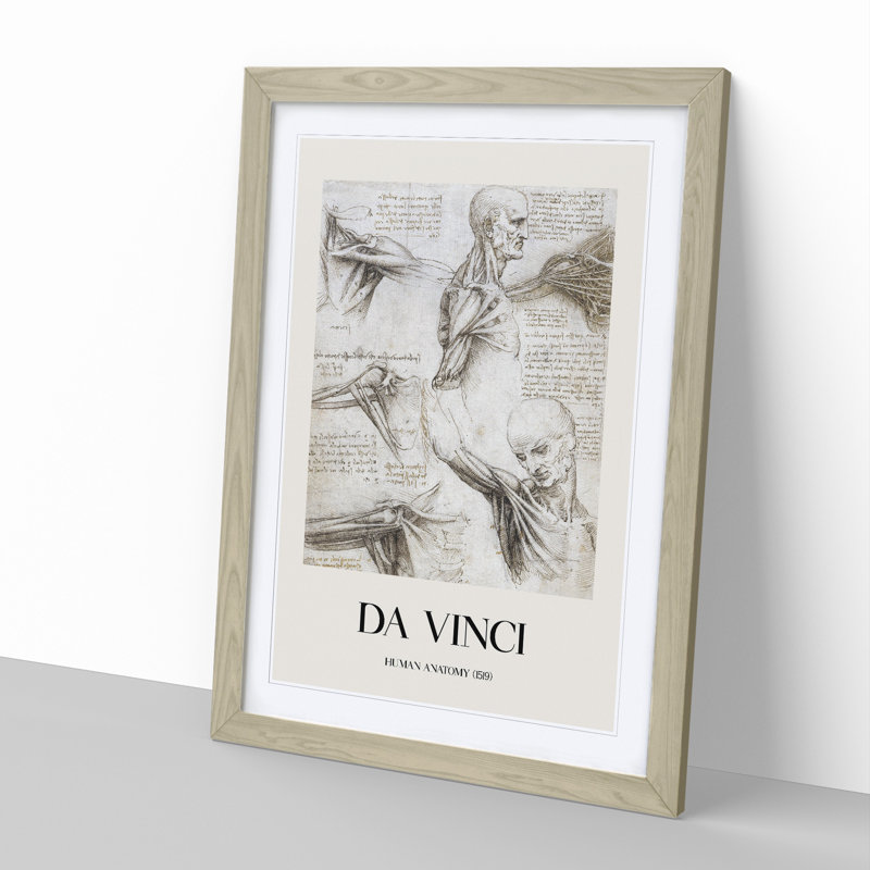Human Anatomy Vol.3 by Leonardo Da Vinci - Picture Frame Drawing, Oak Framed, 36cm H x 27cm W x 2cm D