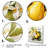 " Vibrant Pears "-1072711596-1072711599