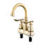 Double Handle Bathroom Sink Faucet with Drainer-1924816931