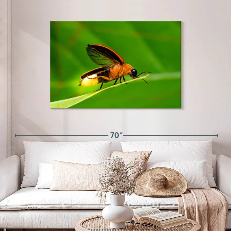 Brampt Firefly, 30" H x 45" W
