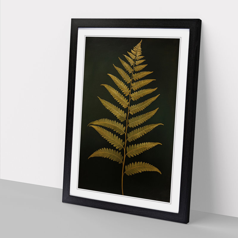 Fern Leaf Classicism - Framed Print, Black, 64cm H x 46cm W x 2cm D