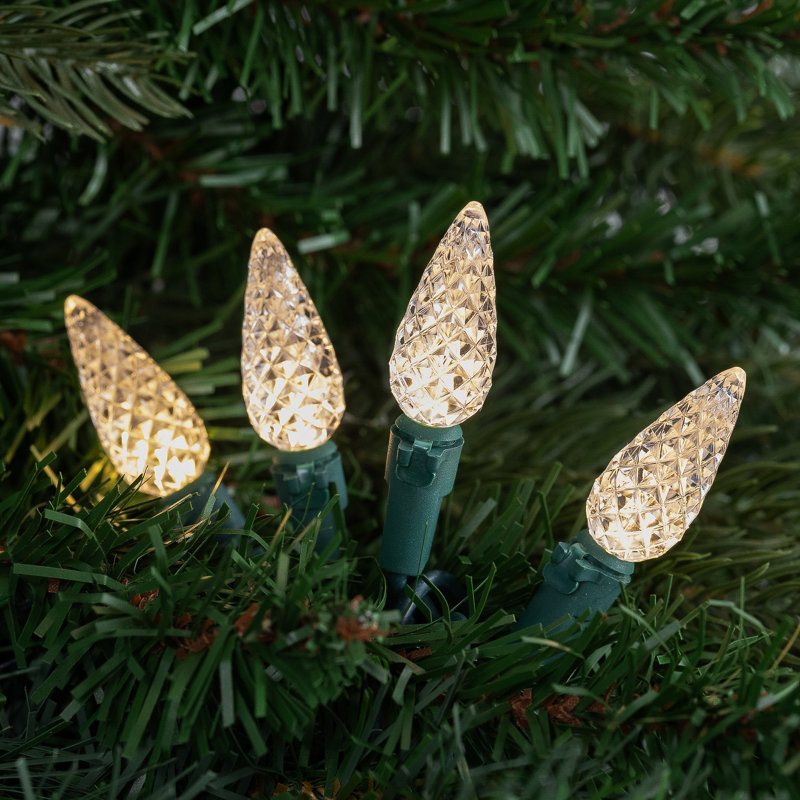 804'' LED String Lights, Warm White