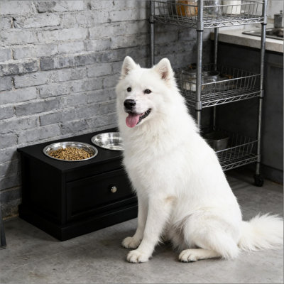 Support pour bol pour chien surélevé pour chien de 19,75 à 23,5 po d'épaisseur avec espace de rangement de 11 litres