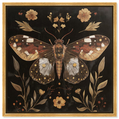 Moth and Moonflowers Canvas Folk Art Prints by 