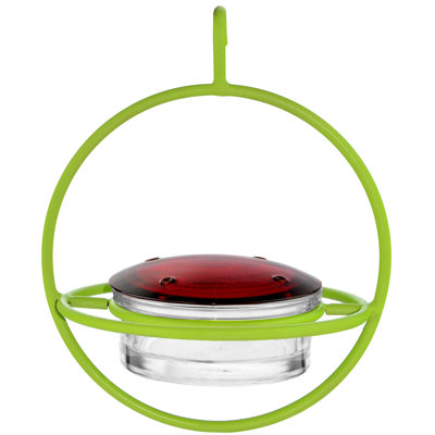 Dieball Hanging Hummingbird Feeder