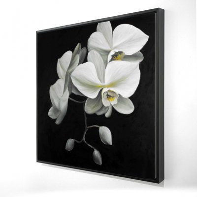 " White Orchids "
