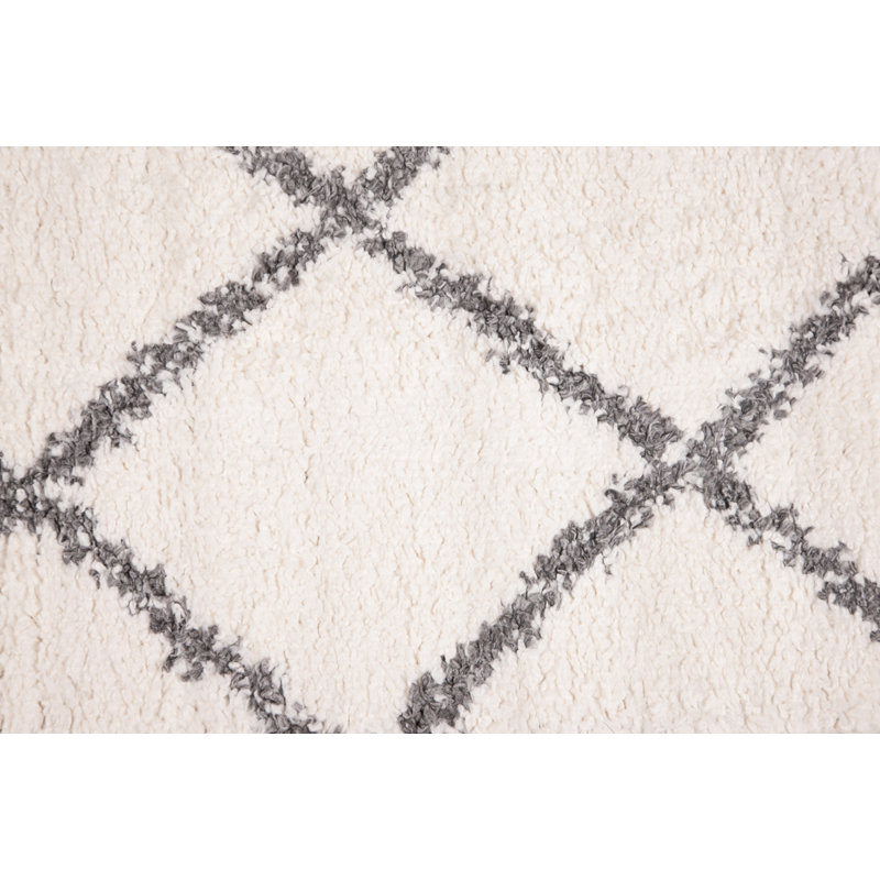 Cedarburg Geometric Shag Area Rug, Rectangle 200 x 290cm
