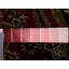 Kelene Oriental Area Rug in Red