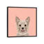 Yorkshire terrier, impression sur toile tendue-19742040-74756755-74756757