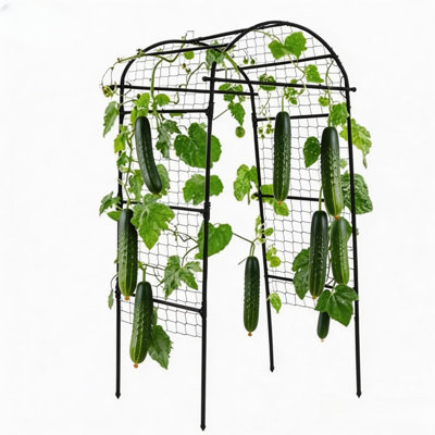 Treillis arqué en U en forme de U 6,8 x 3 x 2,6 pi, support de plantes en métal résistant à la rouille pour grimper les légumes, les fruits et les fleurs, treillis vertical pour les lits surélevés et le jardin extérieur