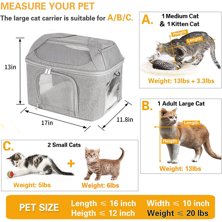 Lifeand Pet Carrier for Large and Medium Cats under 18lb, Airline Approved  Soft-Sided Cat Carrier for Medium Cats and Puppy, Collapsible Dog Carriers