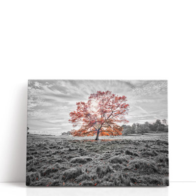 «Single Tree at Autumn», reproduction d'art sur toile