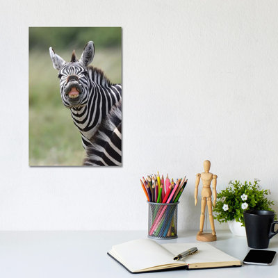 Smiling Zebra by Elmar Weiss - Wrapped Canvas Print
