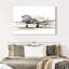 Mehar DC3 avion-107852749