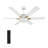 52'' Ceiling Fan with LED Lights-1847207797