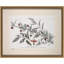 Tea Tree Drawing Print