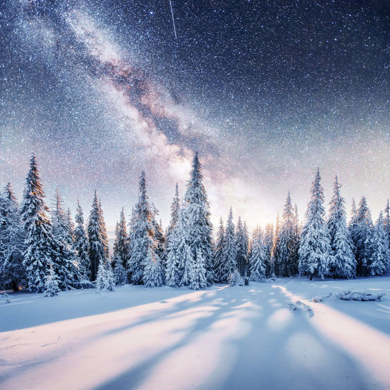 Dairy Star Trek In The Winter Woods by Standret - Wrapped Canvas Print, 30cm H x 30cm W