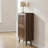 Modern Shoe Cabinet