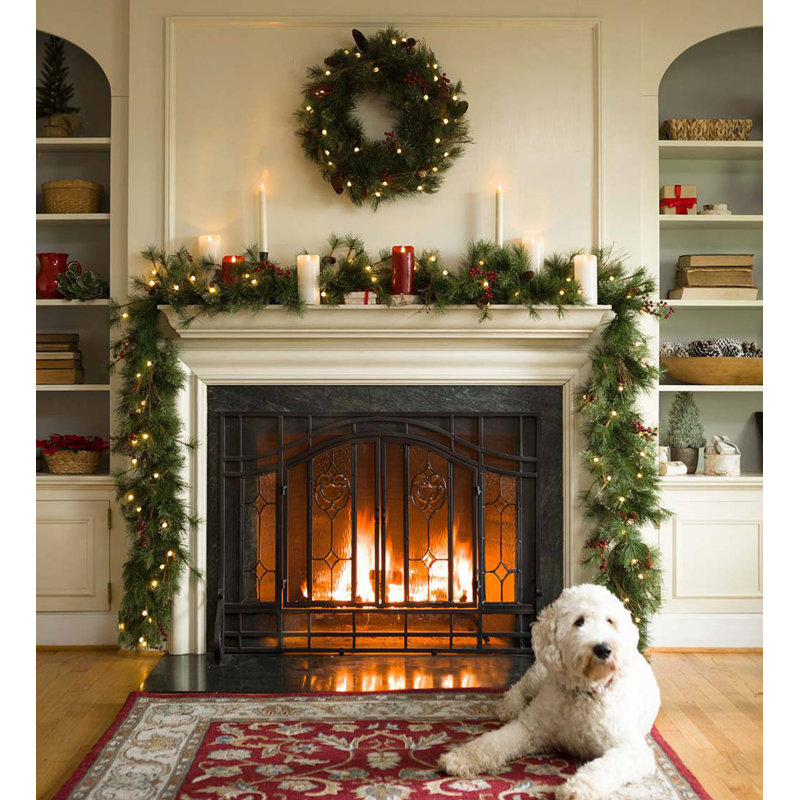 Black Steel Two-Door Fireplace Screen with Glass Panels