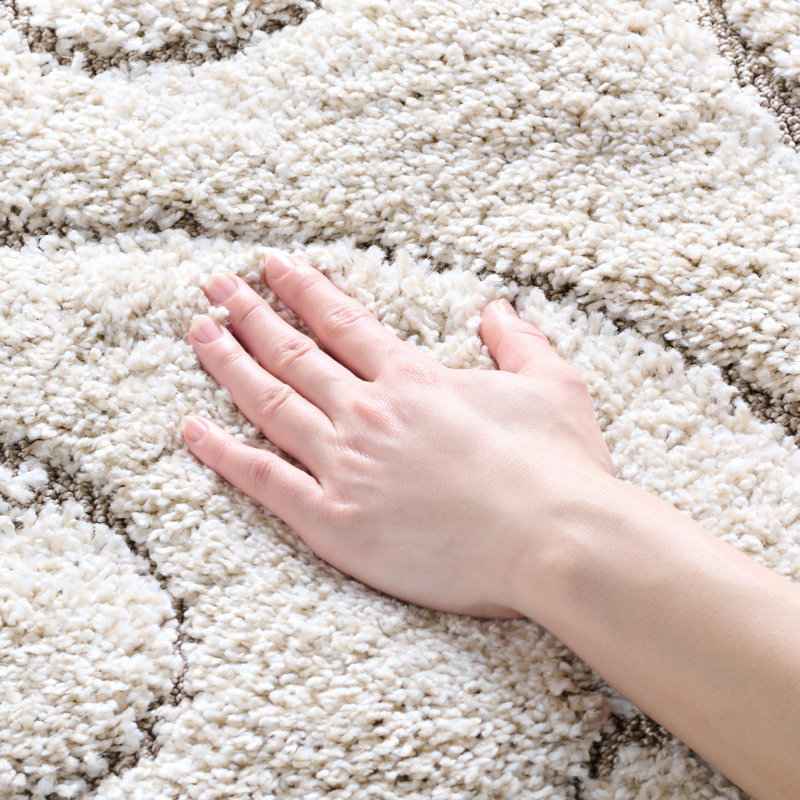 Tapis à motif floral crème à poil long Deanna, Rectangle 4 pi x 6 pi